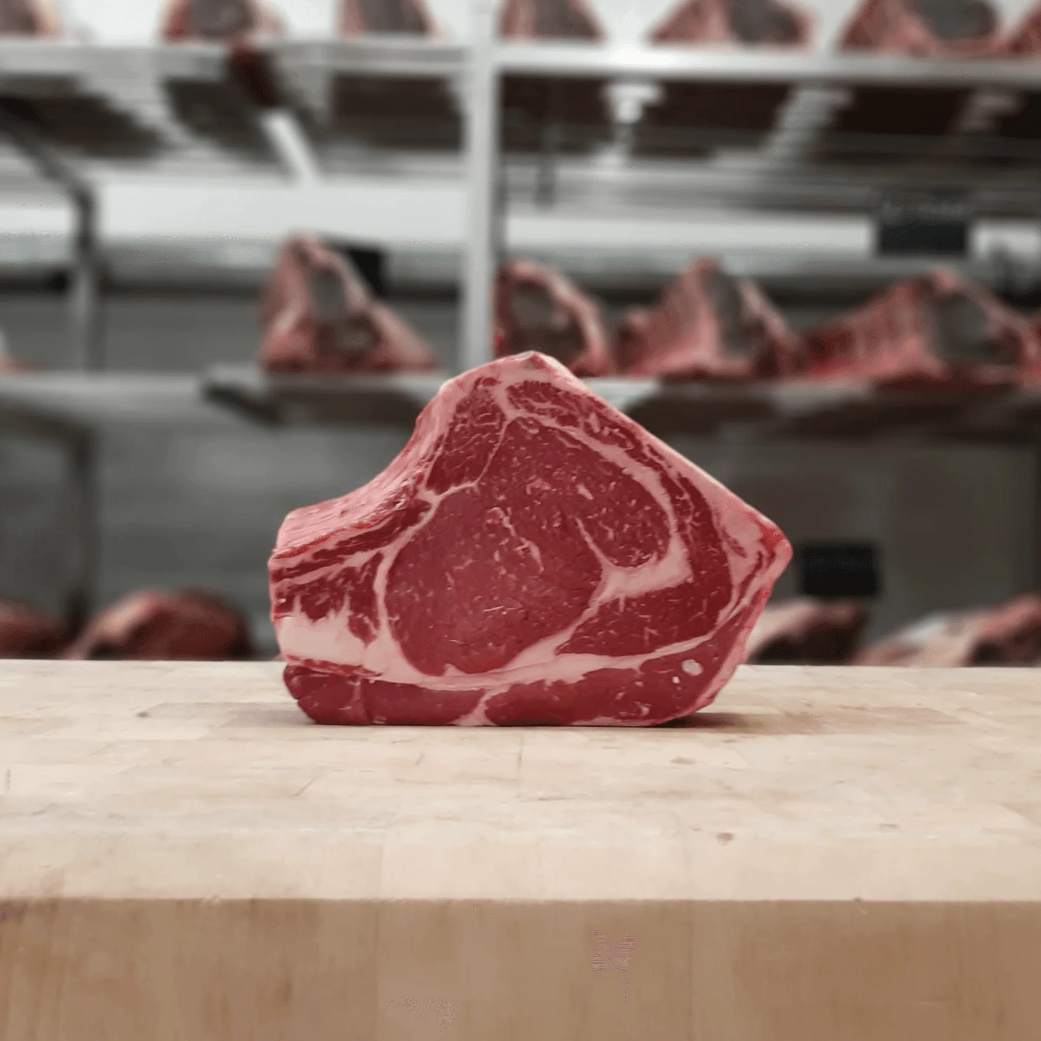Côte à l'os Angus Hereford
