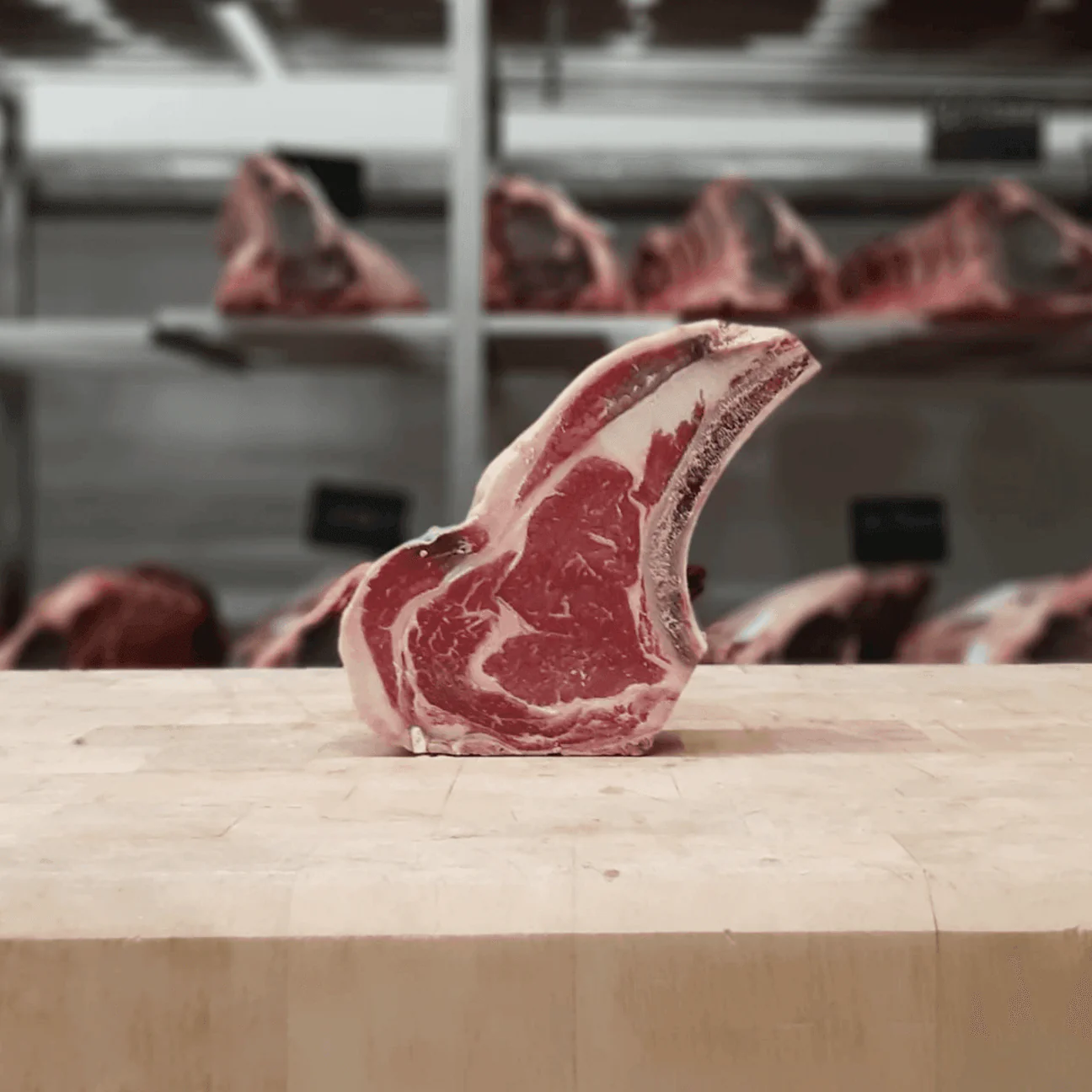 Côte à l'os Angus Hereford maturée