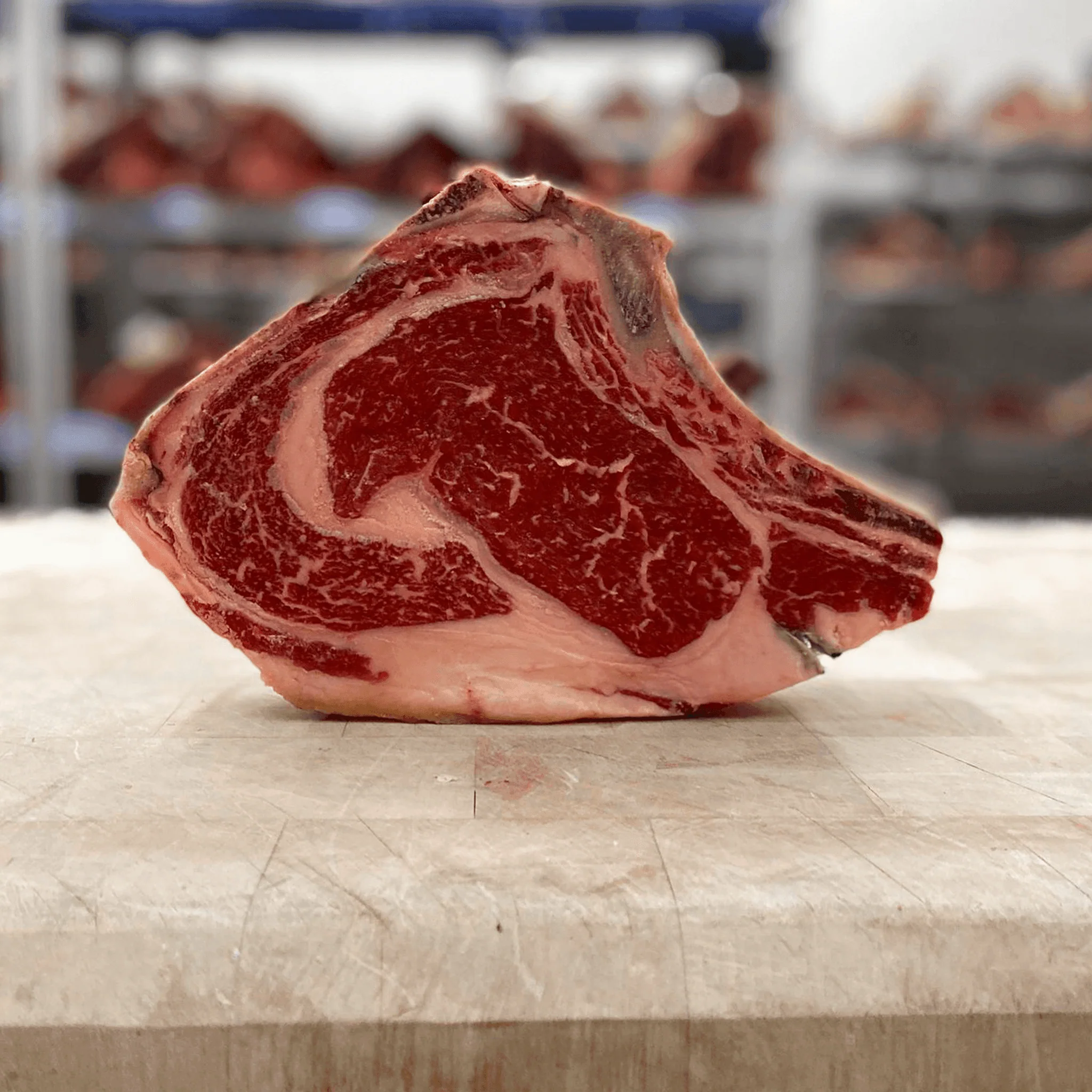 Côte à l'os de boeuf Salers/Angus maturée