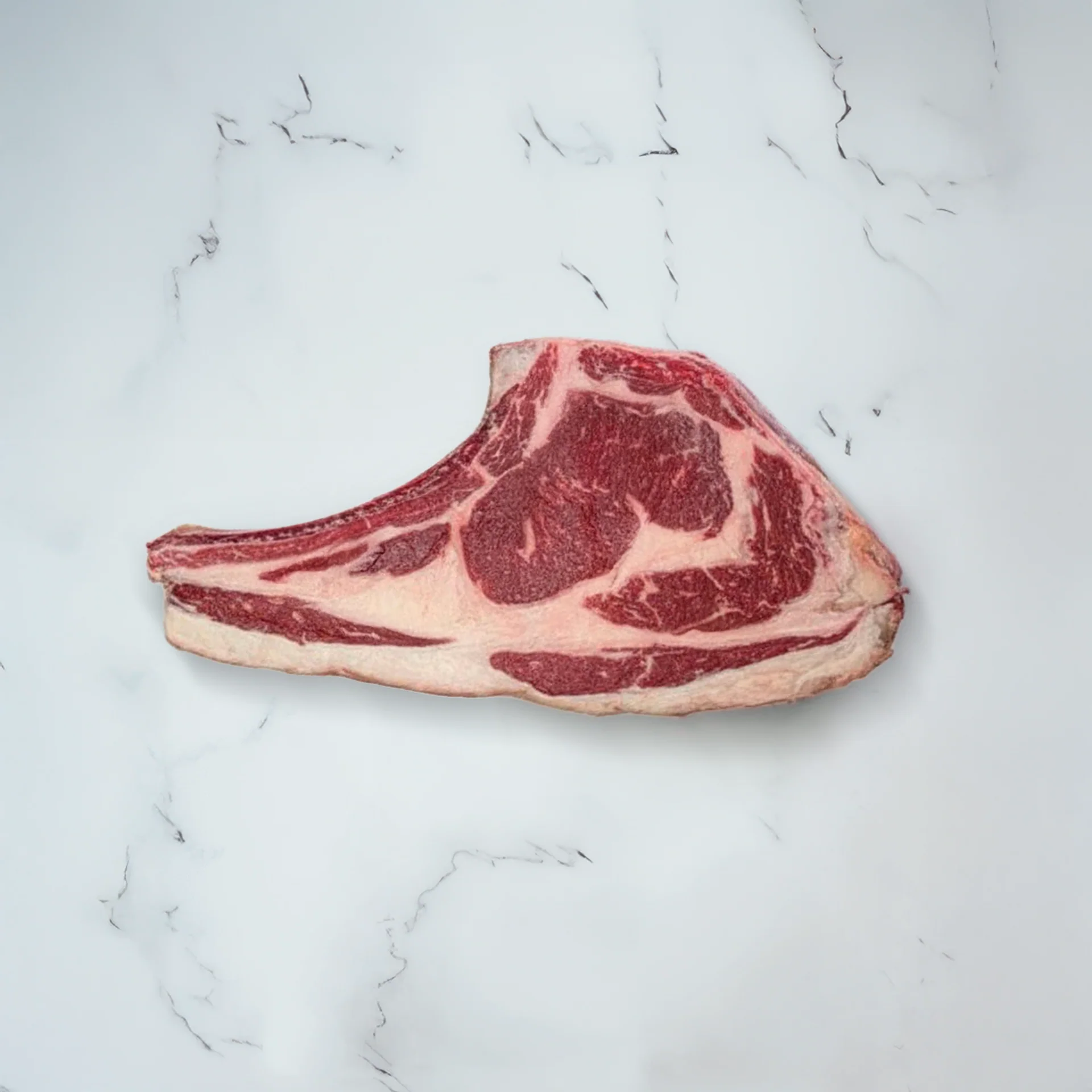 Côte à l'os Noire de Baltique