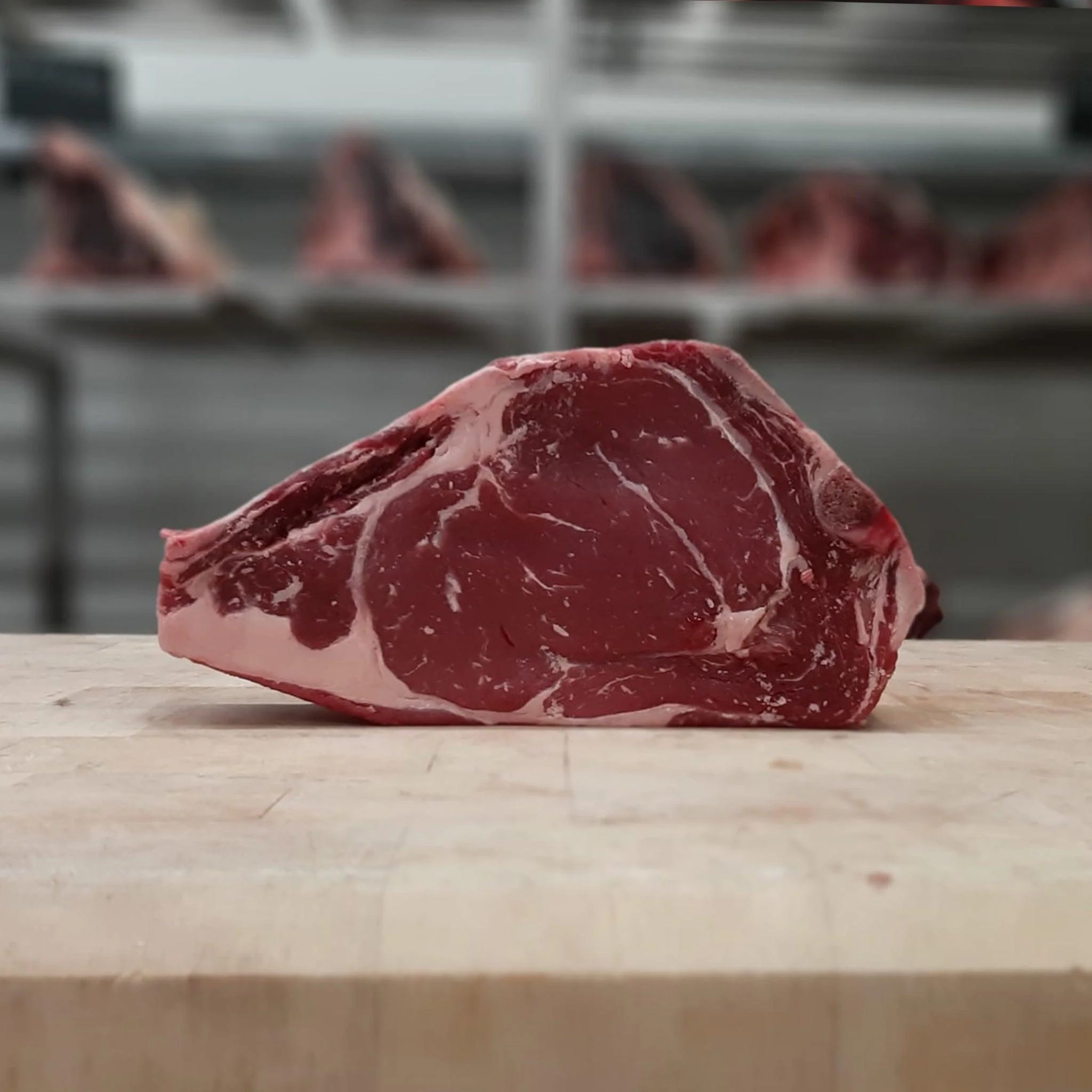 Côte à l'os Scottona maturée (Italie)